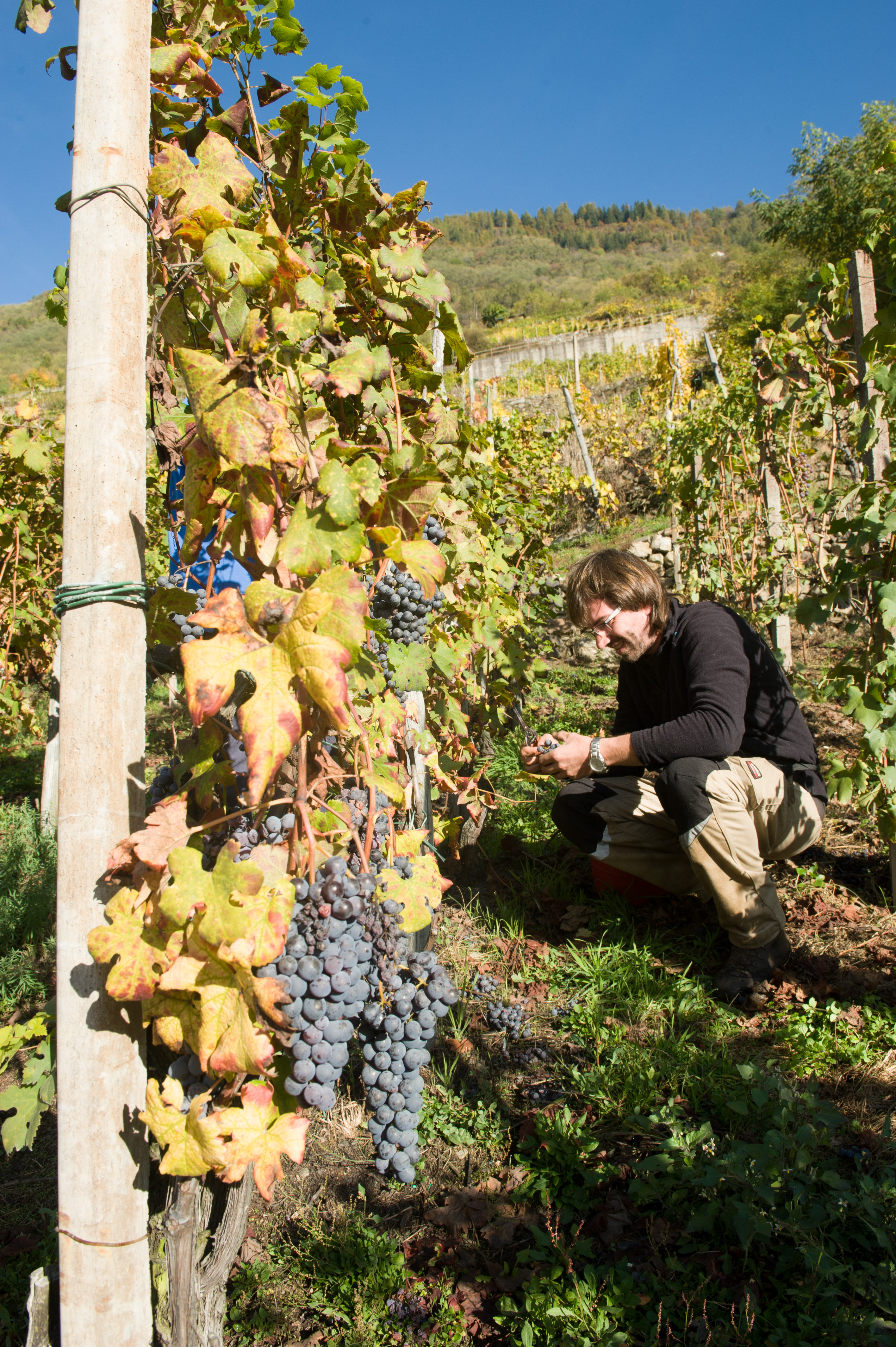 State buoni se potete - Coltiviamo Agricoltura Sociale ...